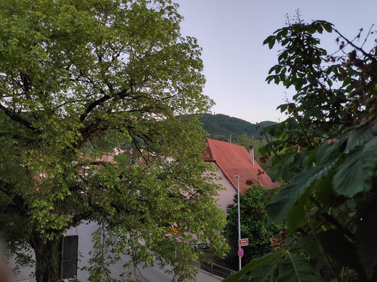Ferienwohnungen Und Zimmer In Reutlingen-Goenningen Ngoại thất bức ảnh